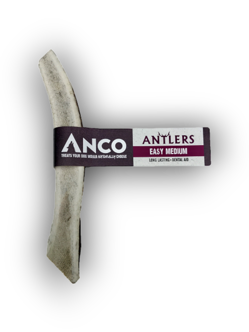 Anco Antlers Easy Medium